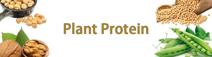 Plant Protein