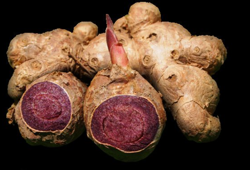 What is black ginger extract good for?