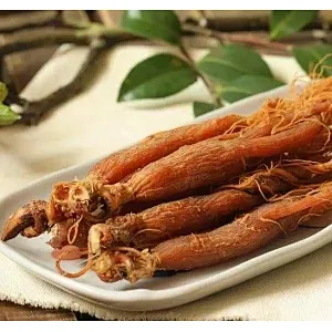 Korean Red Ginseng Extract