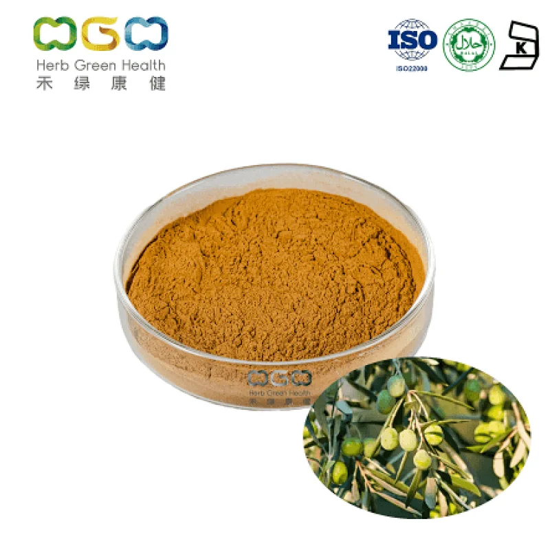 Olive Leaf Extract