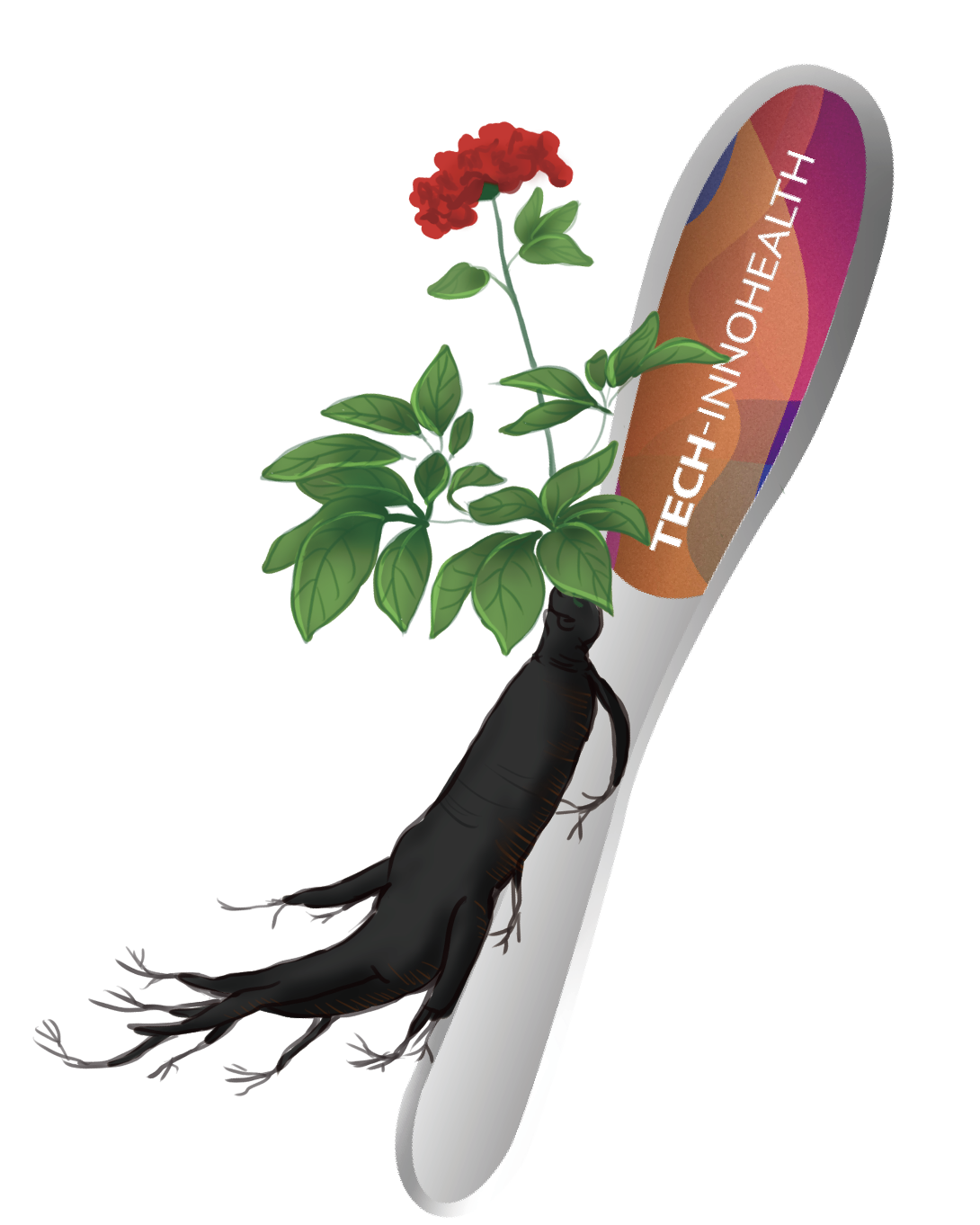 Black Ginseng Extract