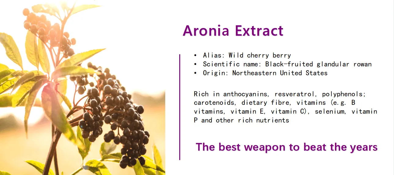 Aronia Berry Extract