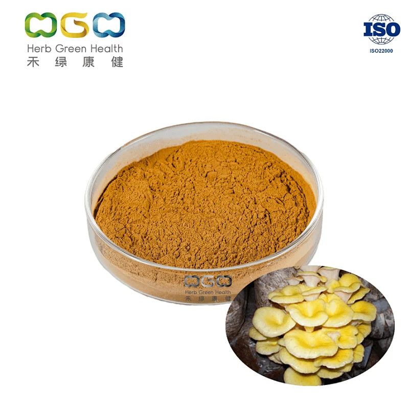 Golden Oyster Mushroom Extract