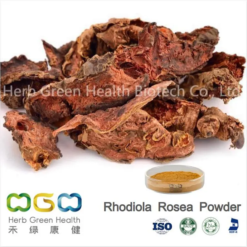 chinese Rhodiola Rosea Extract powder manufacturer,best chinese Rhodiola Rosea Extract supplier,buy Wholesale Rhodiola Rosea Extract online,golden root Rhodiola Rosea root Extract rosavins,Rosea root extarct life extension suppliement