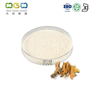 Giant Knotweed Extract
