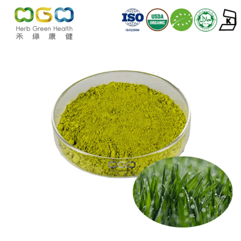 Organic Barley Grass Powder