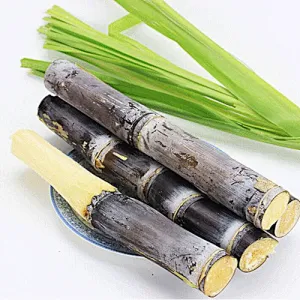 Sugarcane Polyphenols