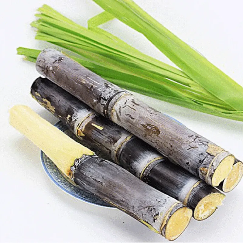 Sugarcane Polyphenols