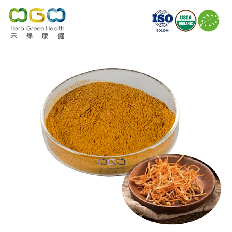 Cordyceps Militaris
