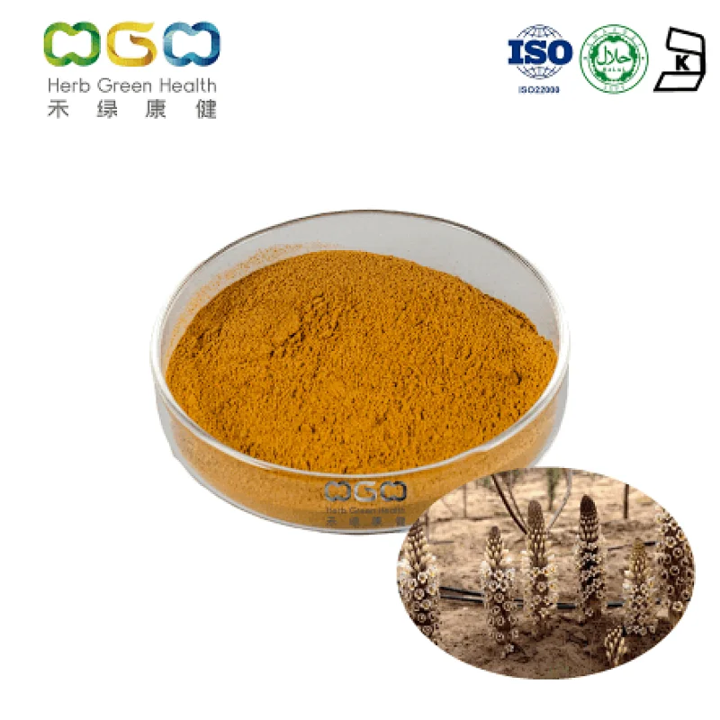 Cistanche Tubulosa Extract