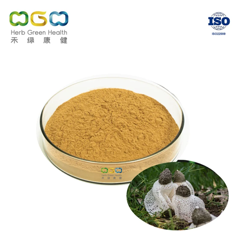 Bamboo Fungus Extract