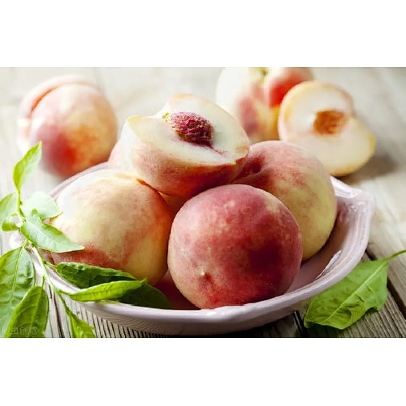Peach SD Powder