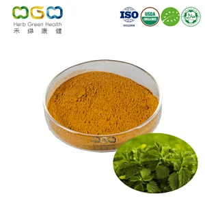 Organic Nettle Leaf Powder