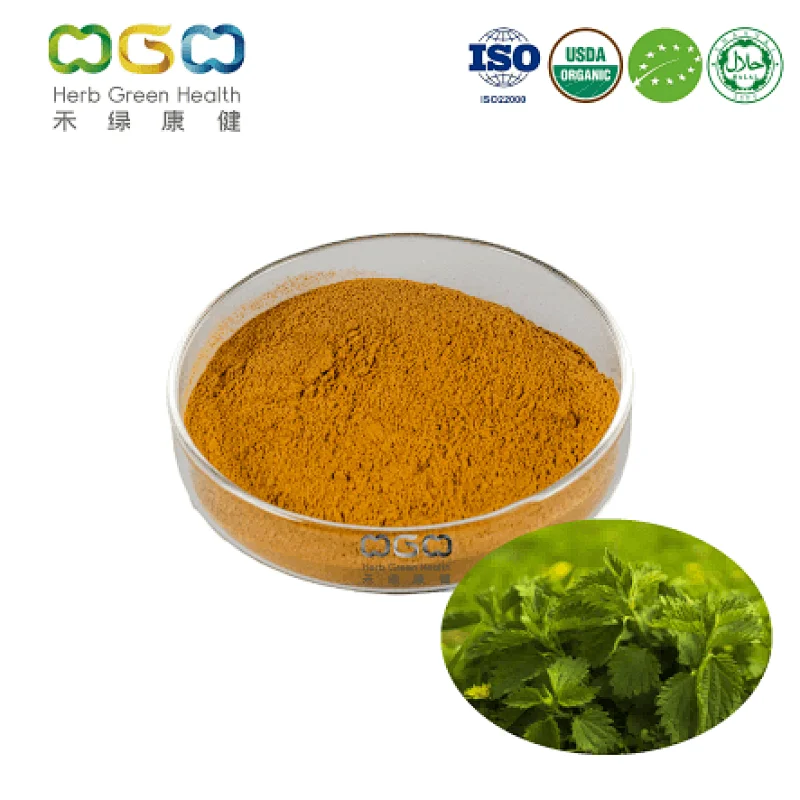 Organic Nettle Leaf Powder