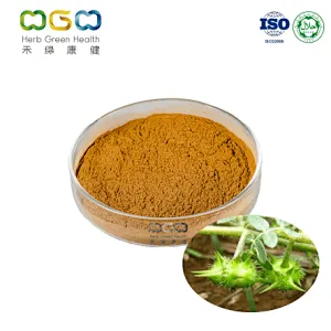 Tribulus Terrestris Extract