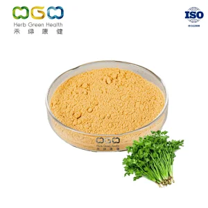 Cilantro Seed Powder