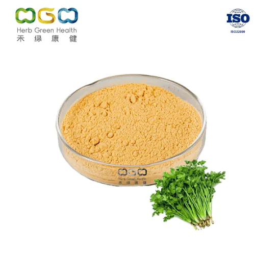 Cilantro Seed Powder