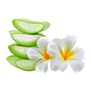 Curacao Aloe Powder