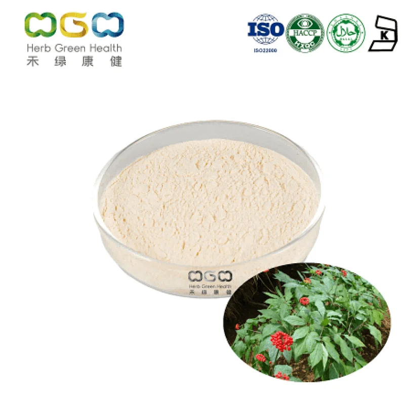 Panax Ginseng Leaf Extract