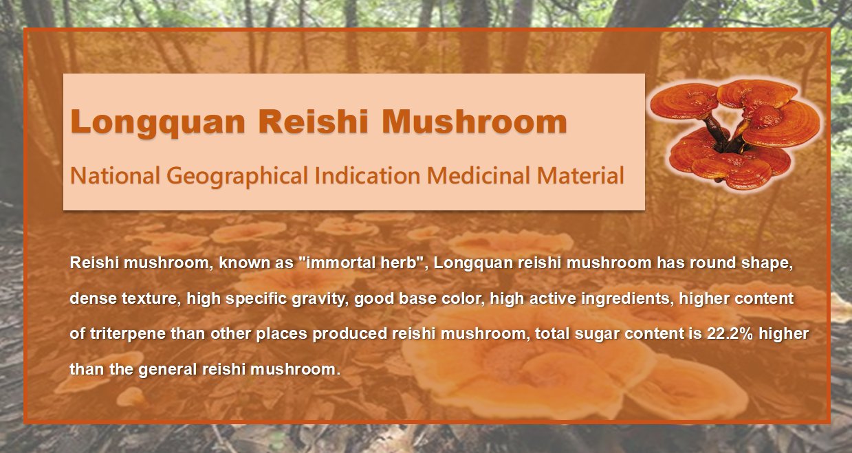 Reishi Mushroom Extract