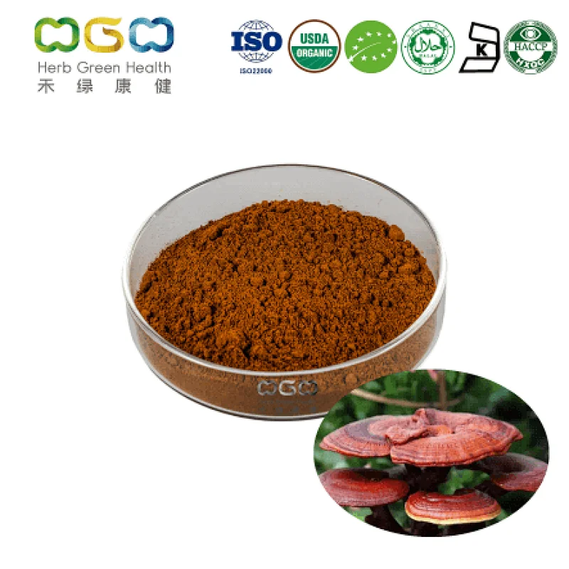 Organic Reishi Mushroom Extract