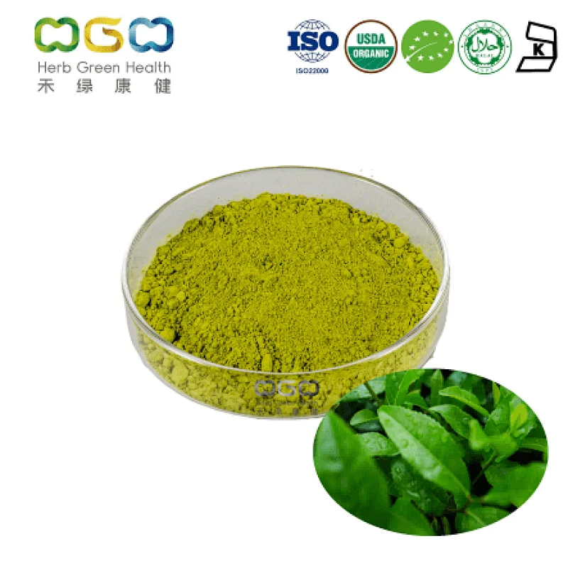 Organic Matcha Powder