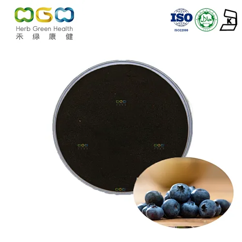 European Bilberry Extract