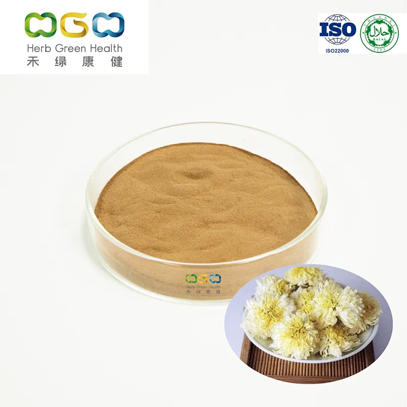 Chrysanthemum