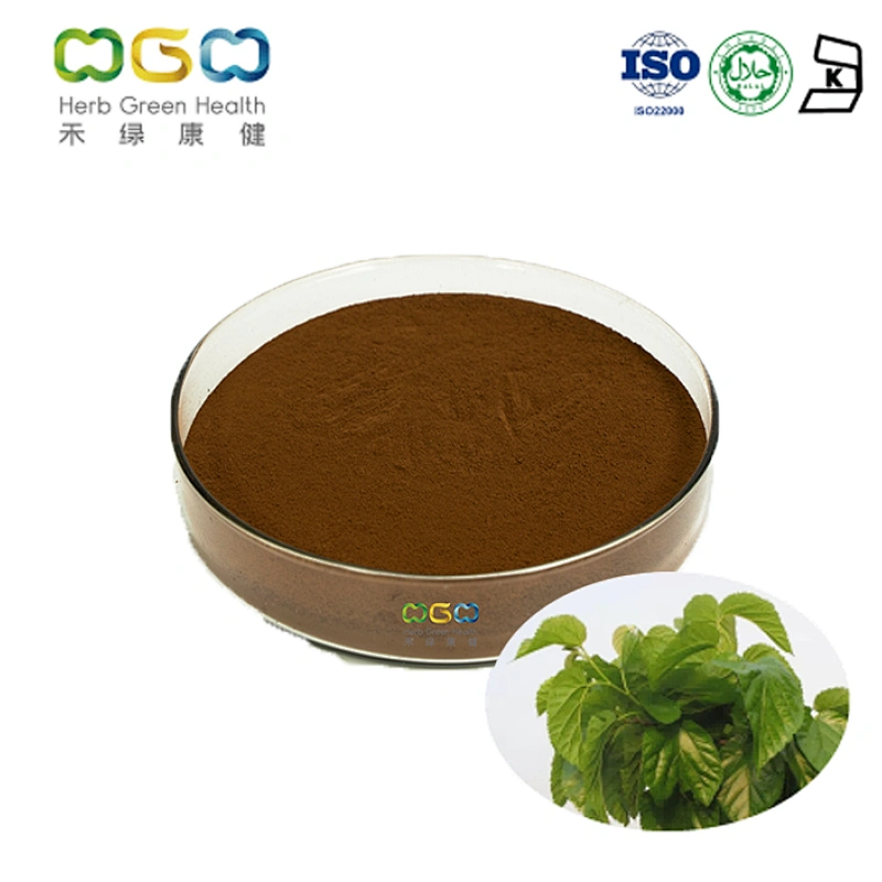 Mulberry Leaf Extract