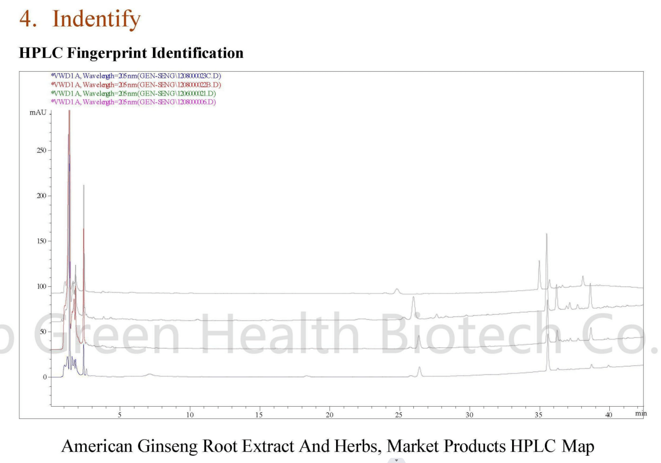 American Ginseng Extract