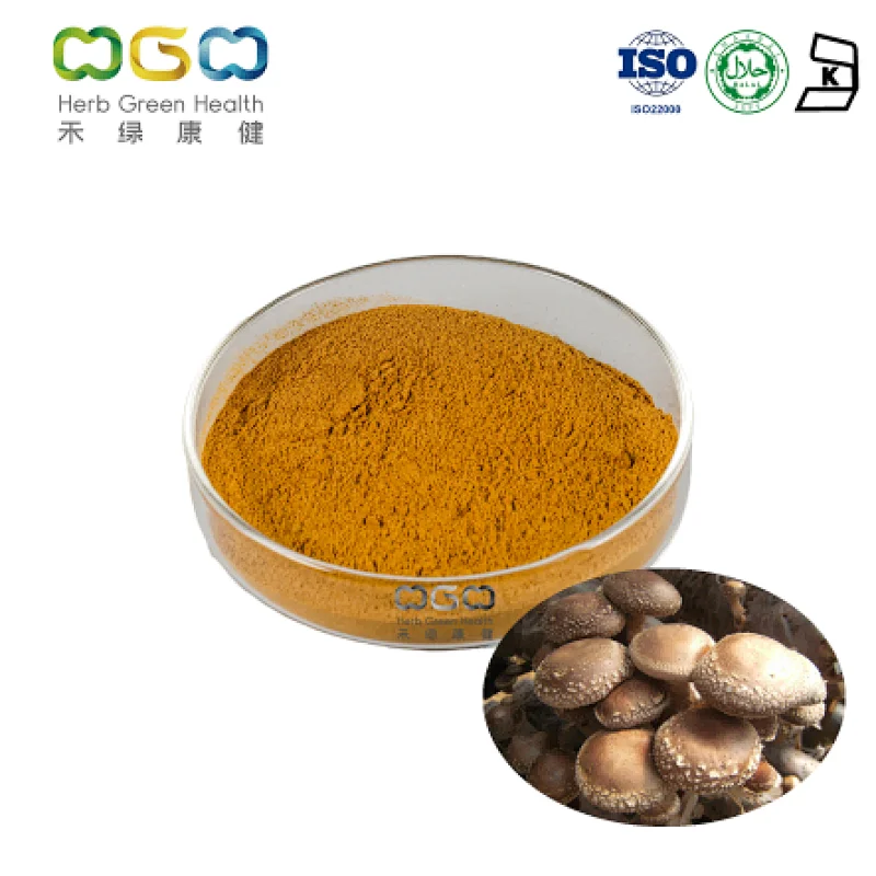 Shiitake Mushroom Extract Manufacturer Herb Green Health