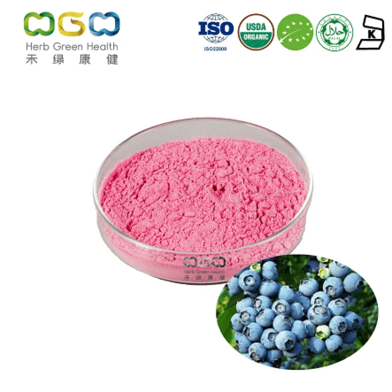 Organic Blueberry Extract