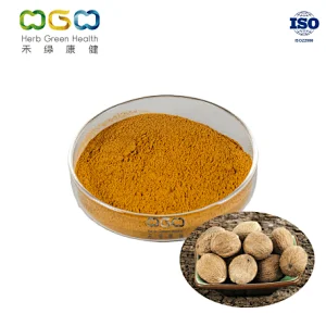 Nutmeg Powder