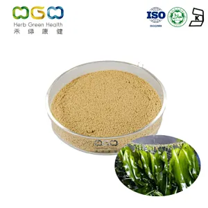 Kelp Extract