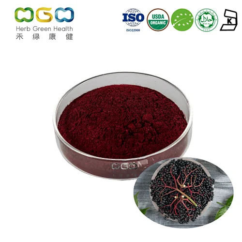 Organic Elderberry Extract