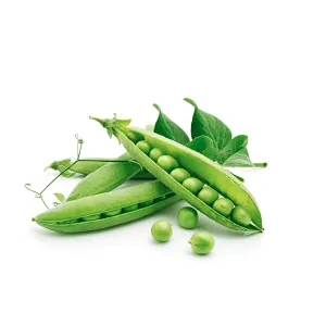 Pea Protein