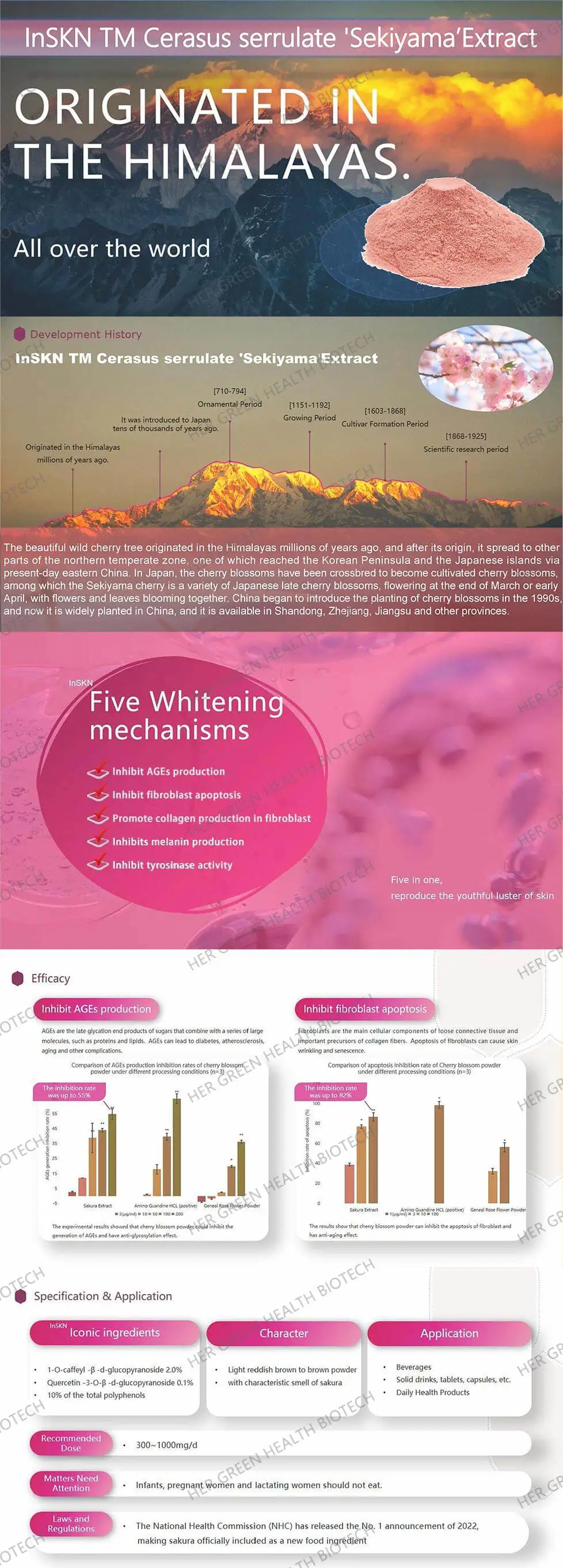 Sakura Extract