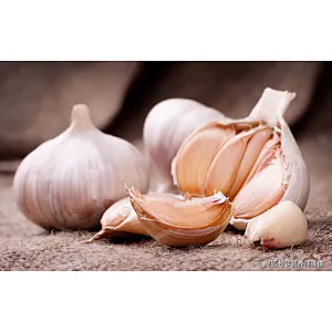 Garlic Powder