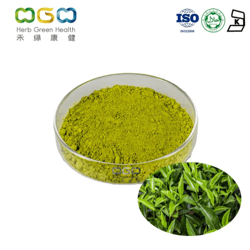 Green Tea Powder