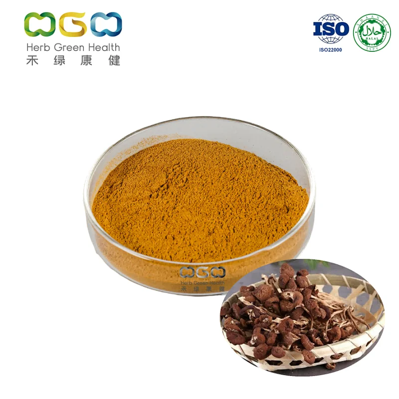 Agrocybe Aegerita Extract