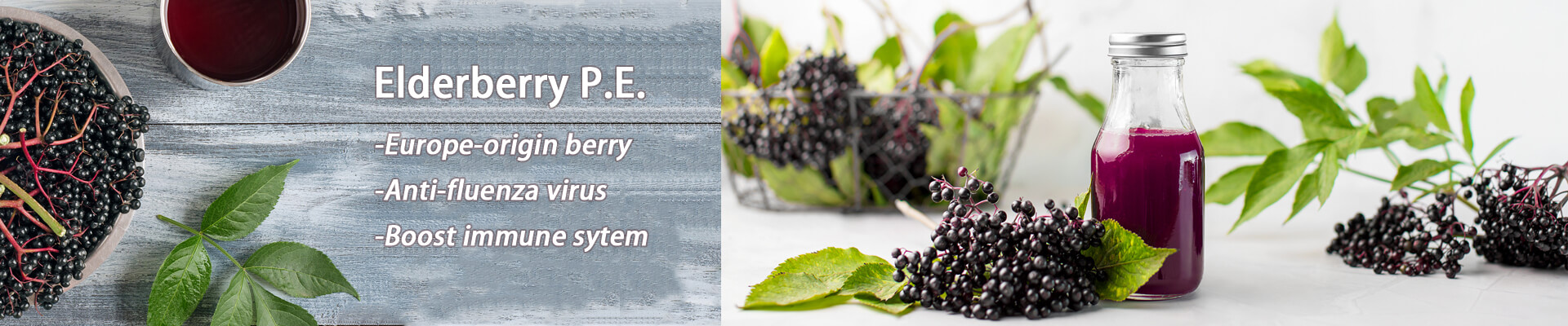 Elderberry (sambucus) Extract