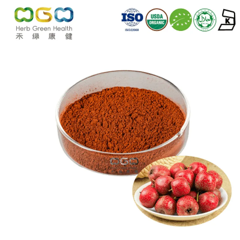 Organic Hawthorn Extract