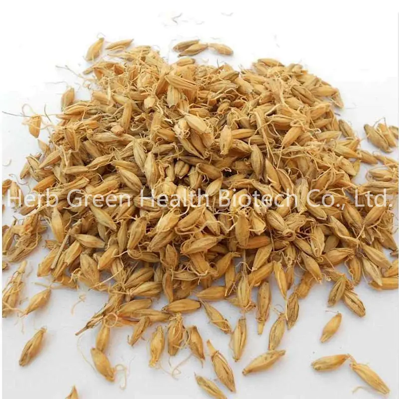 Wheat Germ Powder