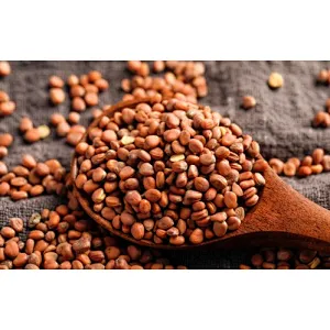 Radish Seed Extract