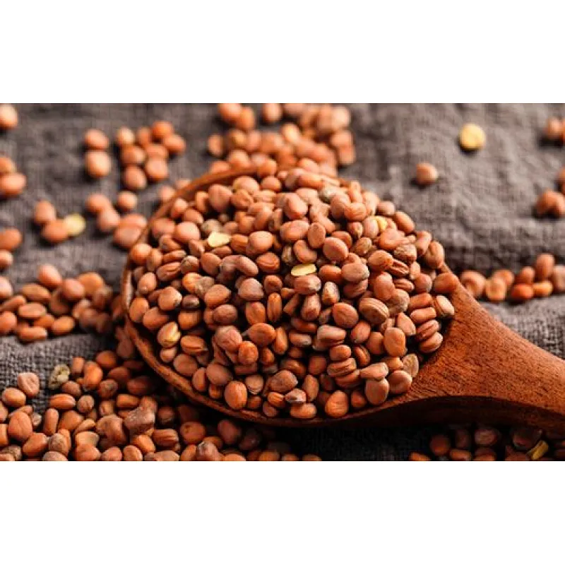 Radish Seed Extract