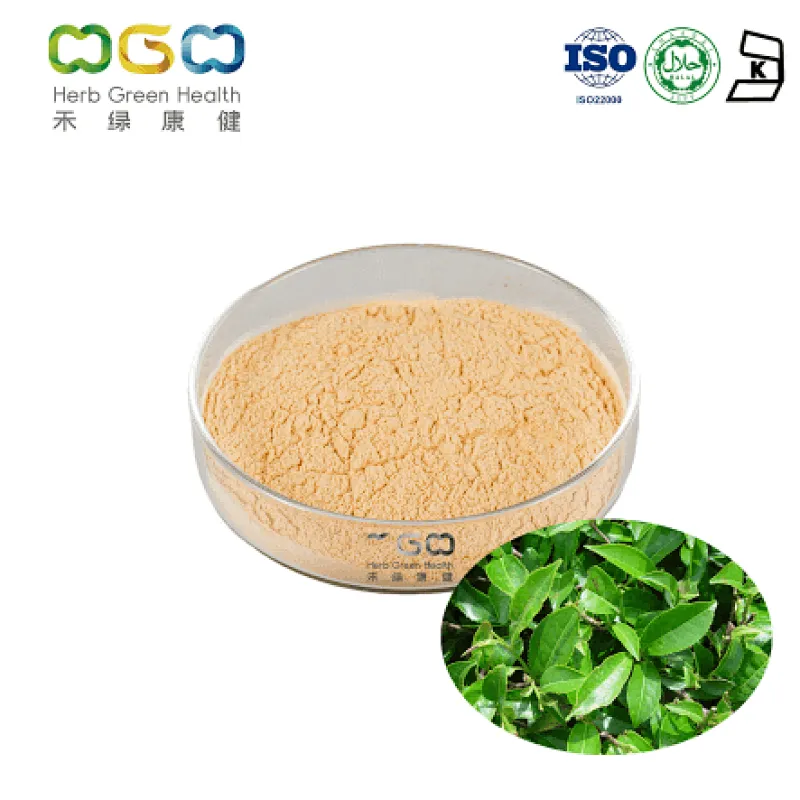 Green Tea Extract