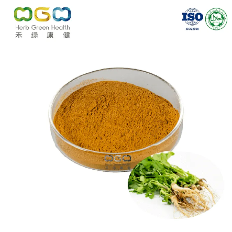 Nettle Root Powder