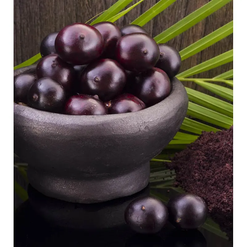 Acai SD Powder