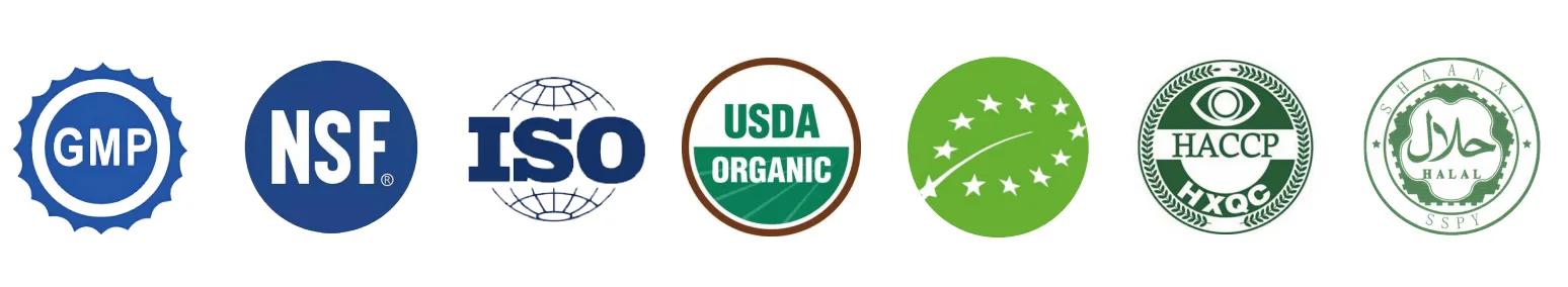 Organic Reishi Mushroom Extract