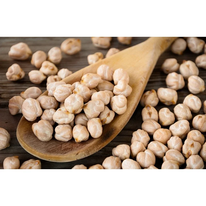 Chickpea Protein Extract